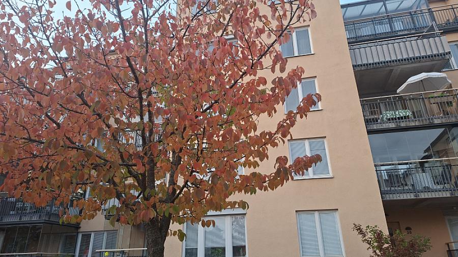 Brf Vilunda Gård Centralvägen 20 från gården. 